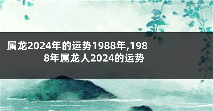 属龙2024年的运势1988年,1988年属龙人2024的运势