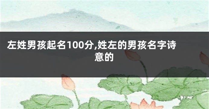 左姓男孩起名100分,姓左的男孩名字诗意的