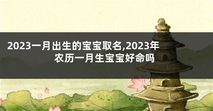 2023一月出生的宝宝取名,2023年农历一月生宝宝好命吗