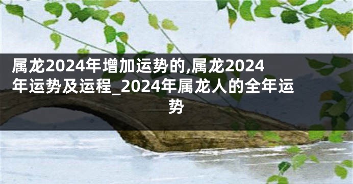 属龙2024年增加运势的,属龙2024年运势及运程_2024年属龙人的全年运势