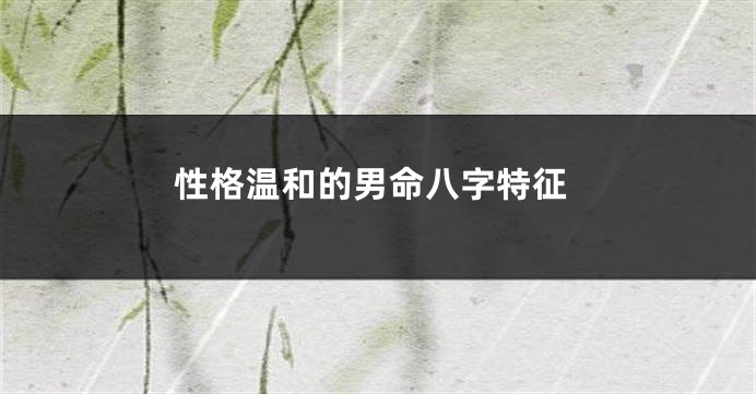 性格温和的男命八字特征