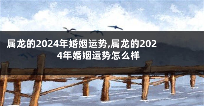 属龙的2024年婚姻运势,属龙的2024年婚姻运势怎么样