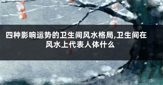 四种影响运势的卫生间风水格局,卫生间在风水上代表人体什么