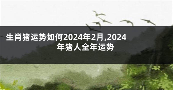 生肖猪运势如何2024年2月,2024年猪人全年运势