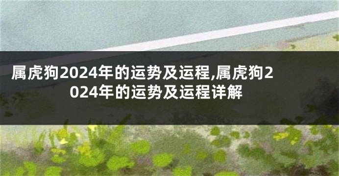 属虎狗2024年的运势及运程,属虎狗2024年的运势及运程详解