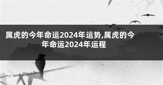 属虎的今年命运2024年运势,属虎的今年命运2024年运程