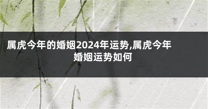 属虎今年的婚姻2024年运势,属虎今年婚姻运势如何