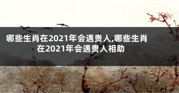 哪些生肖在2021年会遇贵人,哪些生肖在2021年会遇贵人相助