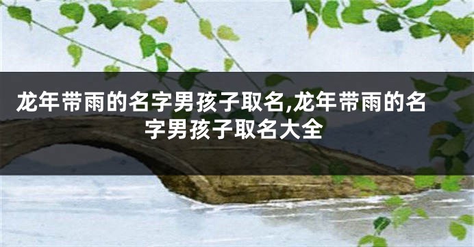 龙年带雨的名字男孩子取名,龙年带雨的名字男孩子取名大全