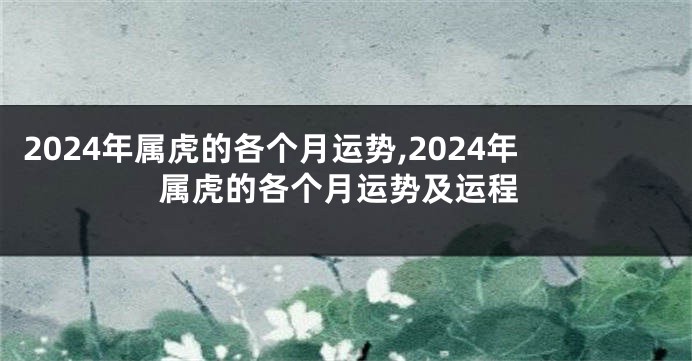 2024年属虎的各个月运势,2024年属虎的各个月运势及运程