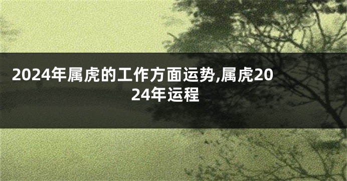 2024年属虎的工作方面运势,属虎2024年运程