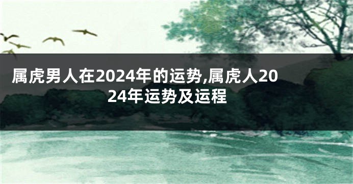 属虎男人在2024年的运势,属虎人2024年运势及运程