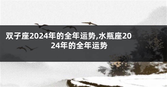 双子座2024年的全年运势,水瓶座2024年的全年运势