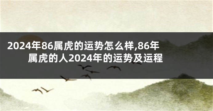 2024年86属虎的运势怎么样,86年属虎的人2024年的运势及运程