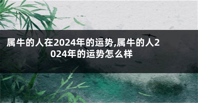 属牛的人在2024年的运势,属牛的人2024年的运势怎么样