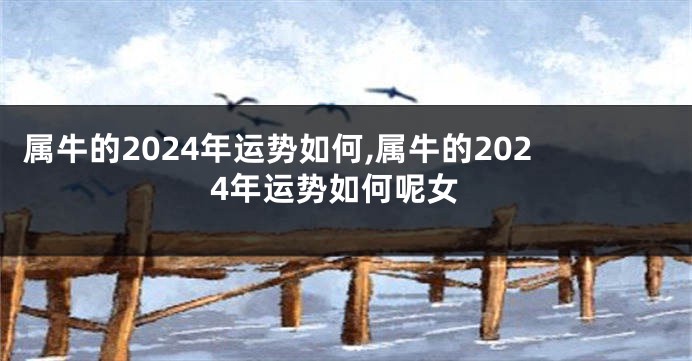 属牛的2024年运势如何,属牛的2024年运势如何呢女