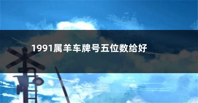 1991属羊车牌号五位数给好