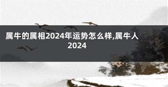 属牛的属相2024年运势怎么样,属牛人2024