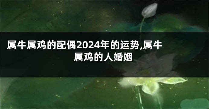 属牛属鸡的配偶2024年的运势,属牛 属鸡的人婚姻