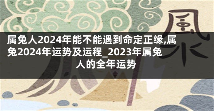 属兔人2024年能不能遇到命定正缘,属兔2024年运势及运程_2023年属兔人的全年运势