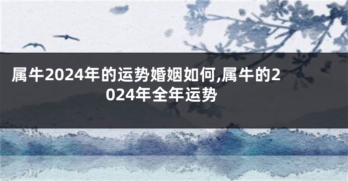 属牛2024年的运势婚姻如何,属牛的2024年全年运势