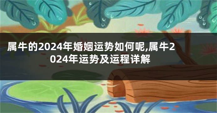 属牛的2024年婚姻运势如何呢,属牛2024年运势及运程详解