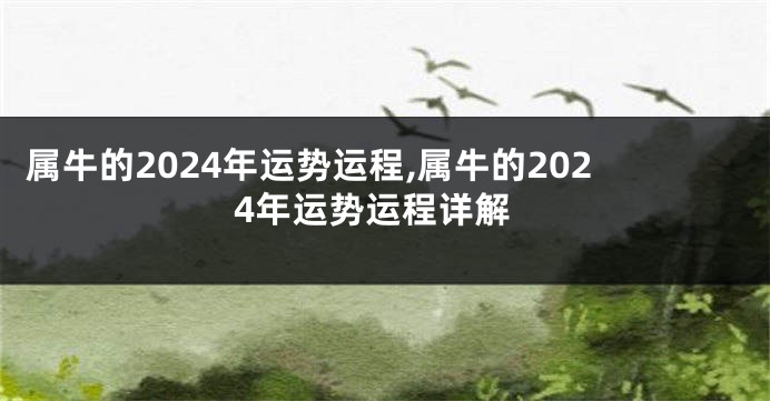 属牛的2024年运势运程,属牛的2024年运势运程详解