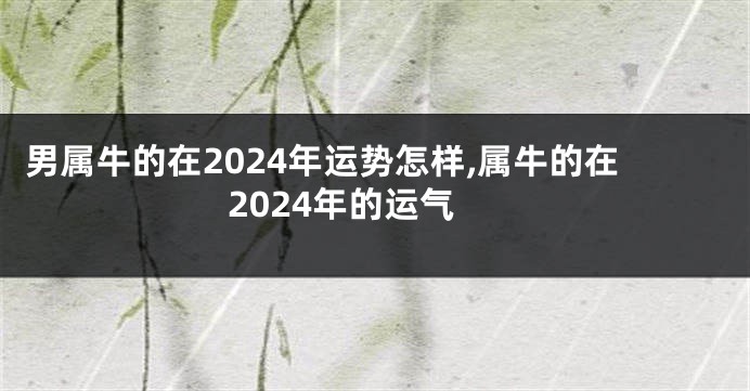 男属牛的在2024年运势怎样,属牛的在2024年的运气