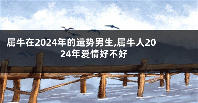 属牛在2024年的运势男生,属牛人2024年爱情好不好