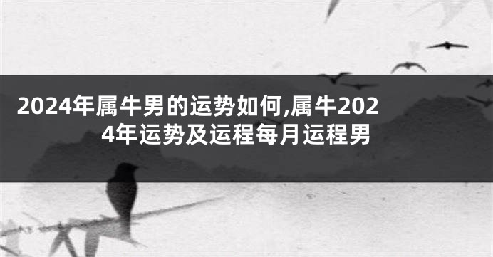 2024年属牛男的运势如何,属牛2024年运势及运程每月运程男