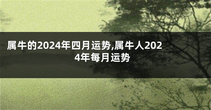 属牛的2024年四月运势,属牛人2024年每月运势