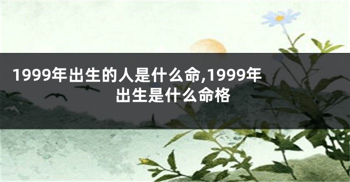 1999年出生的人是什么命,1999年出生是什么命格