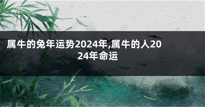 属牛的兔年运势2024年,属牛的人2024年命运