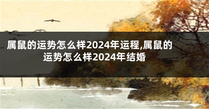 属鼠的运势怎么样2024年运程,属鼠的运势怎么样2024年结婚