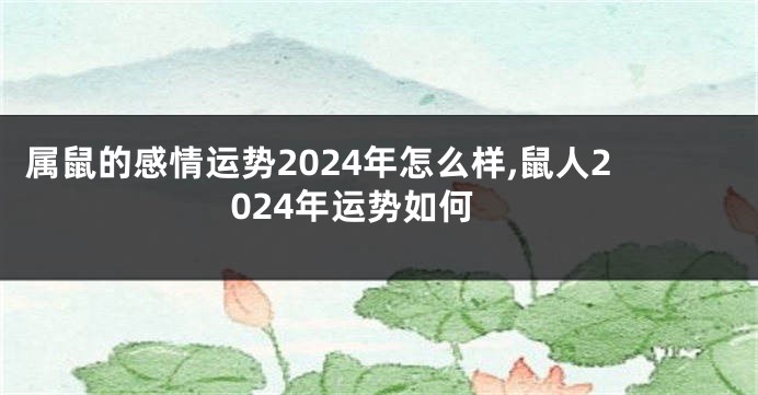 属鼠的感情运势2024年怎么样,鼠人2024年运势如何