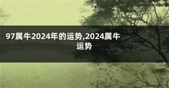 97属牛2024年的运势,2024属牛运势