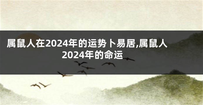 属鼠人在2024年的运势卜易居,属鼠人2024年的命运