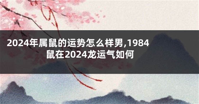 2024年属鼠的运势怎么样男,1984鼠在2024龙运气如何