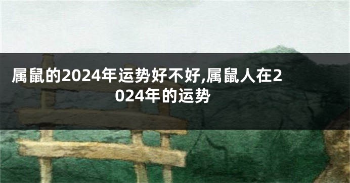 属鼠的2024年运势好不好,属鼠人在2024年的运势