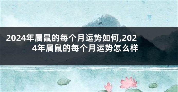 2024年属鼠的每个月运势如何,2024年属鼠的每个月运势怎么样