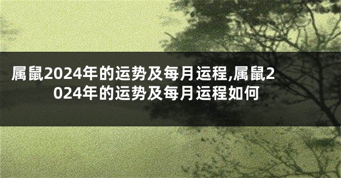 属鼠2024年的运势及每月运程,属鼠2024年的运势及每月运程如何