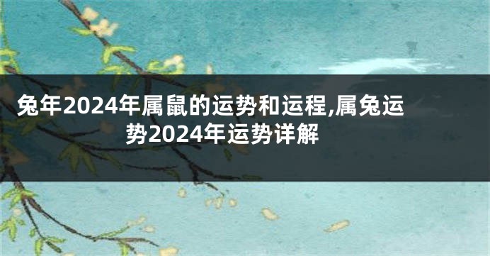 兔年2024年属鼠的运势和运程,属兔运势2024年运势详解