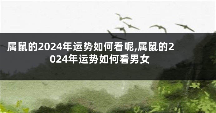 属鼠的2024年运势如何看呢,属鼠的2024年运势如何看男女