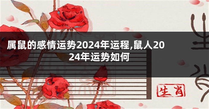 属鼠的感情运势2024年运程,鼠人2024年运势如何