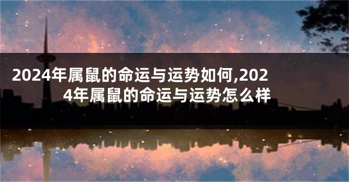 2024年属鼠的命运与运势如何,2024年属鼠的命运与运势怎么样