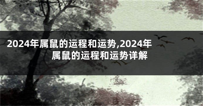 2024年属鼠的运程和运势,2024年属鼠的运程和运势详解