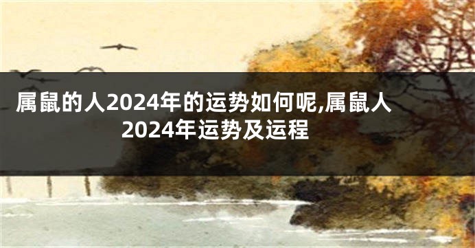 属鼠的人2024年的运势如何呢,属鼠人2024年运势及运程