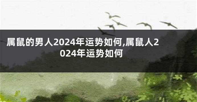 属鼠的男人2024年运势如何,属鼠人2024年运势如何