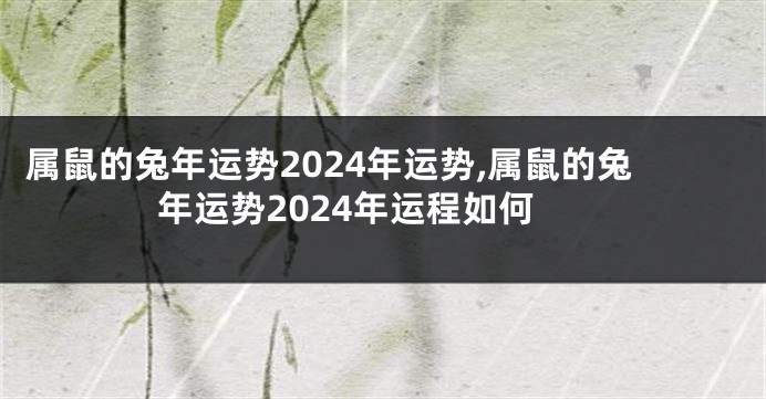 属鼠的兔年运势2024年运势,属鼠的兔年运势2024年运程如何