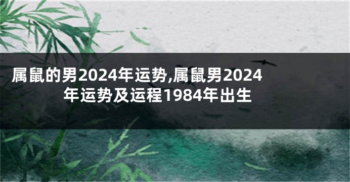 属鼠的男2024年运势,属鼠男2024年运势及运程1984年出生